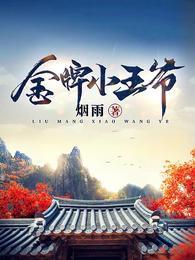 金牌小王爷 金牌小王爷