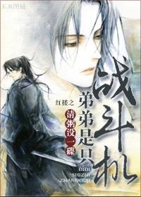 红楼之弟弟是只战斗机 红楼之弟弟是只战斗机