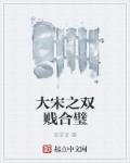 大宋之双贱合璧 大宋之双贱合璧