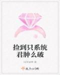 捡到只系统君肿么破 捡到只系统君肿么破