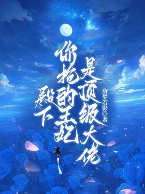 殿下,你抢的王妃是顶级大佬 殿下,你抢的王妃是顶级大佬